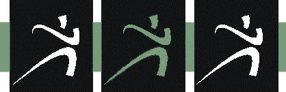 AV Chiro Logo